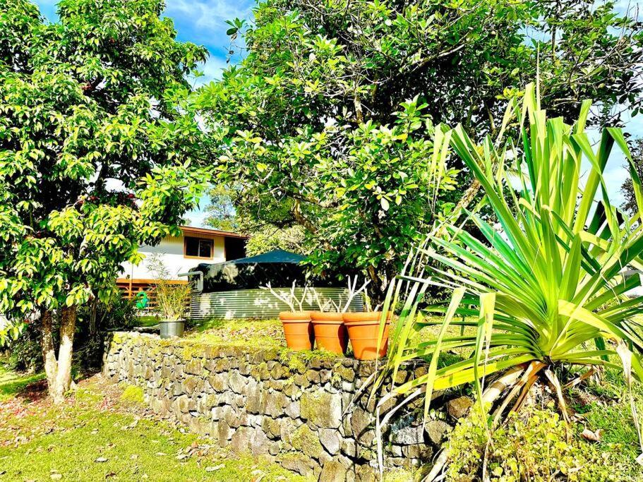 Home Near Volcano National Park, Hilo, Kehena Keaau Exterior foto